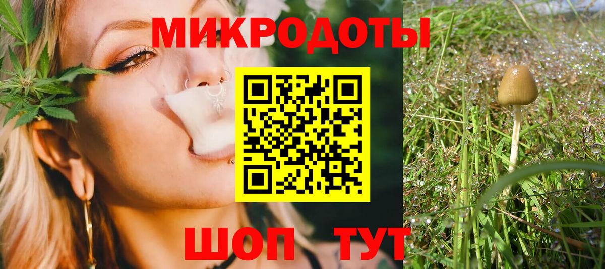 Курчатов  Галлюциногенные грибы ЛСД  Вход с VPN  Галлюциногенные грибы Psilocybe 